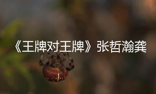 对王第几龚俊期有牌对牌张哲瀚在哪张哲王王牌王牌一期瀚龚俊