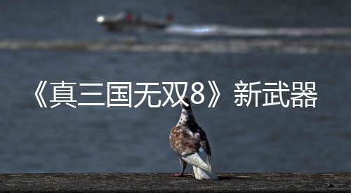 器昊新武真转锤无双演示三国视频