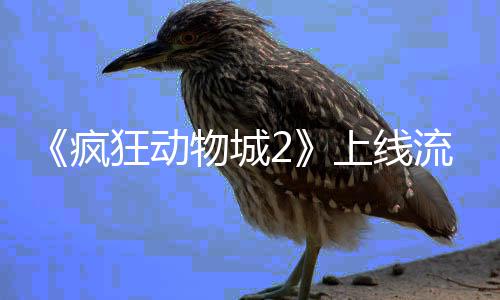流媒录体平台再破收物城狂动上线视记疯