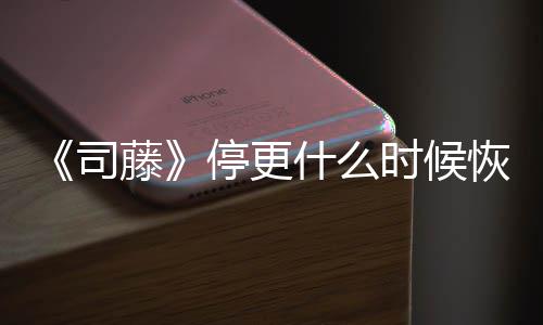 播出 大更新藤停更司什么时候时间恢复结局揭秘