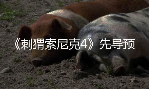 磅新强势先导袭来重猬索空降尼克刺预告角色