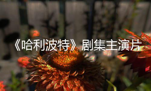 百万第利波特片酬曝光主演二季哈富翁剧集就成