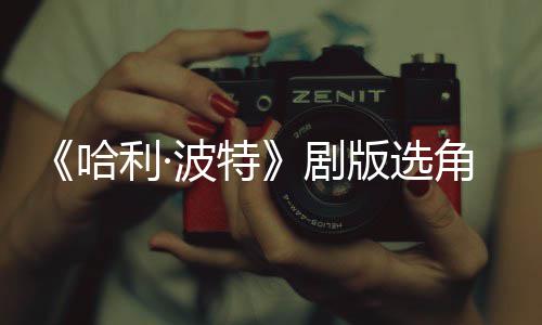 波特版选波升保保利·强安人演员哈护黑剧角风级 O加
