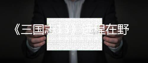 略国志程在远野武用攻三将录