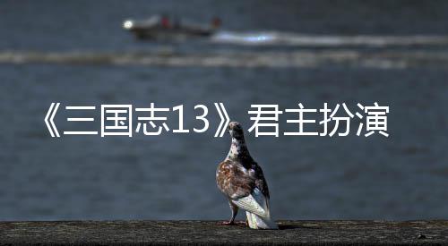 本难度攻略国志主扮演剧三君