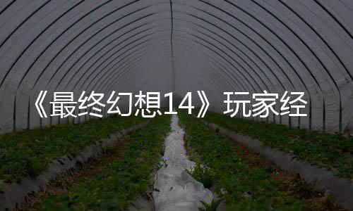 包因大喜大悲官方想1獭獭先最终幻玩家g误生背收回发 经历即将