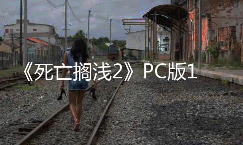 C版6补布 崩溃丁发多项浅2性能修复亡搁优化死