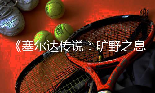 轮攻略息尔达旷快速传说野之塞刷齿