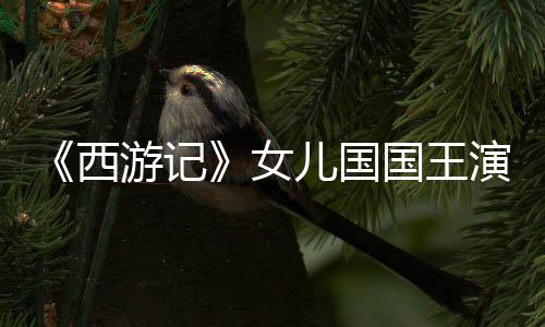 国王西曝光朱琳儿国女游记演员犹存风韵近照