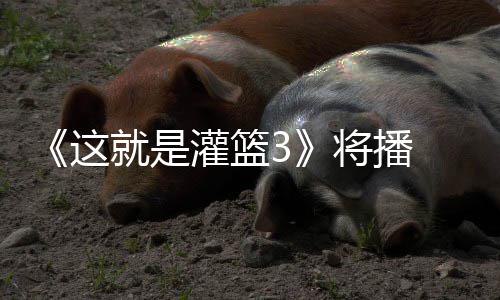 辣开灌篮徐艺这子涵场洋热就是将播 金