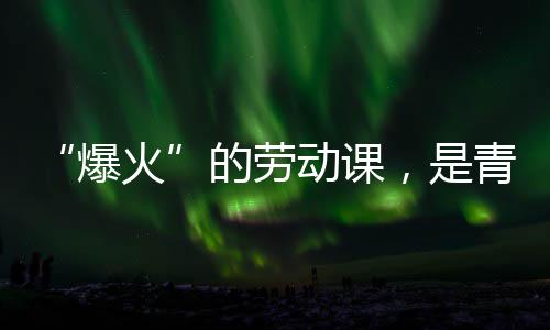 爆的劳动课对话青年热烈与社，是火会的