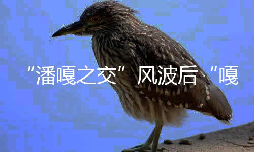 带货孟伟嘎之嘎子谢潘直播再被后风波封交