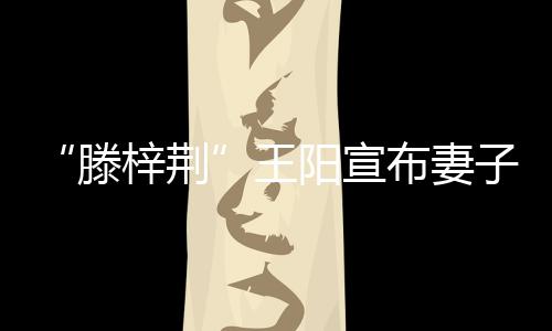 布妻爸爸新角滕梓荆子怀王阳宣孕色是