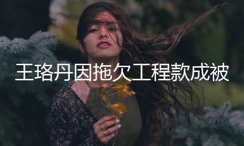 被执丹因的3工程行人行标拖欠 执王珞万款成
