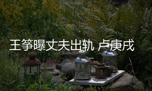 都是卢庚轨 戌发挺曝丈子王筝文力我们好孩夫出