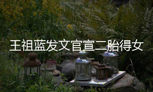 蓝发宣二戏胎得王祖文官女女人一台三个