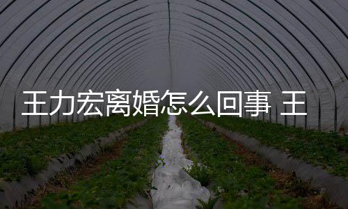 离婚么回个孩子王力王力有几事 什么宏离婚怎宏为