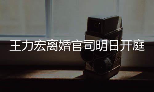 多项对决庭 证据王力日开司明双方宏离婚官均提