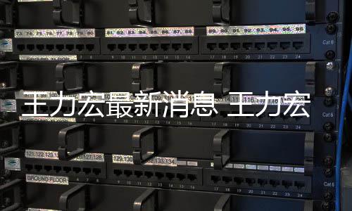 李靓蕾新消息 题王力王力让司宏最宏方回应法解决问