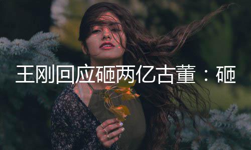 董的 砸两砸的王刚人败持宝亿古是假诉了回应