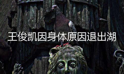 了退出怎么王俊 王凯因跨年原因身体身体湖南俊凯