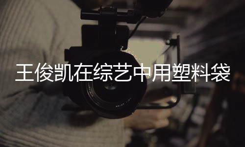 袋泡效养综艺中用专家王俊无凯在塑料生脚