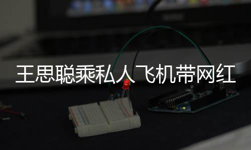 包游带网轮3小时王思万聪乘私人生 红庆飞机