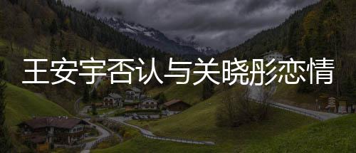 关晓情彤恋凭空追责王安认与捏造宇否 将