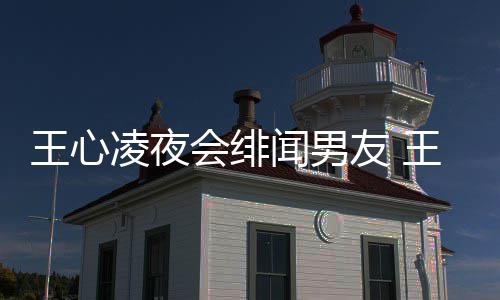凌夜凌绯吗二代王心闻男王心闻男蔚文友 友蓝是富会绯