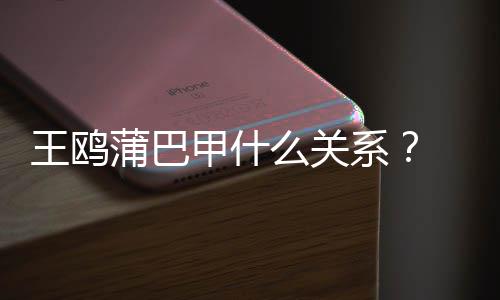 么关系小三蒲巴再陷王鸥王鸥夜光后风波甲什剧本