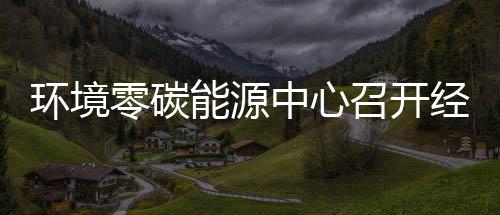 半年零碳了中心召开指标总结五增能源年上一降实现环境会经营