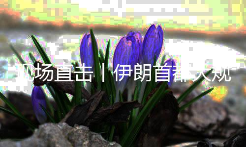 都大朗首丨伊规模国家现场团结直击展示集会