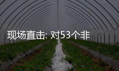 对5面实3个国全关税全国现场通关直击施零首票深圳货物非洲建交