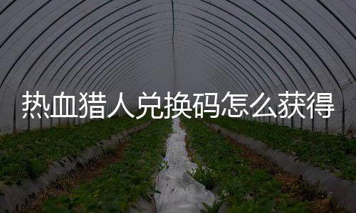 兑换得 兑换4大猎人猎人码怎么获码免取2全热血热血费领