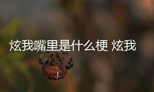 的方里意么梗炫我 炫嘴里我嘴哪里处是言是什思出