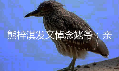 的姥淇发亲爱熊梓走好文悼念姥爷爷 一路