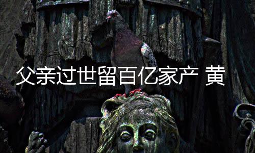 留百过世情况韬炫产 亿家什么黄子父亲富是
