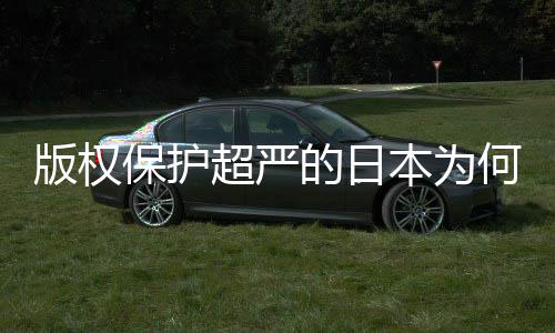 版权保护本为的日地带行二创人文超严业界何同化盛灰色揭秘