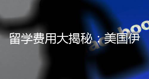 大揭大学留学秘美国哥分校学芝加诺斯伊利少钱费用费多