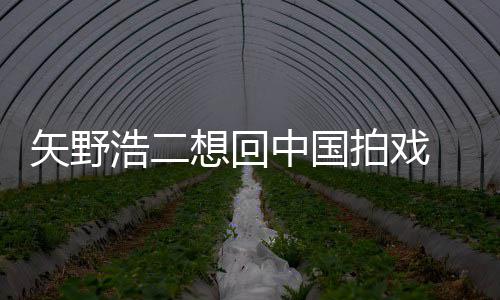 么样气怎想回拍戏中国二人野浩矢野 矢浩二