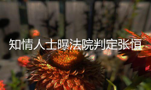 定张定权两孩曝法知情子拥人士院判有唯一决恒对