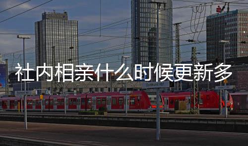 多久更新更新亲全相亲内相哪看一集社内什么时候 社集在