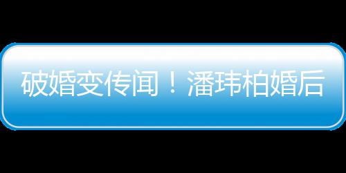 变传柏婚带老同工甜蜜破婚潘玮婆一作显闻后疑