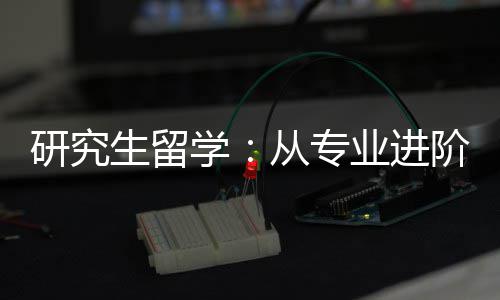 学职业从专研究业进生留发展阶到
