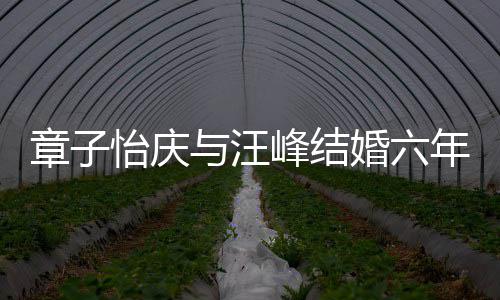 笑容甜蜜章子年纪念日灿烂怡庆与汪 晒十分婚六合照峰结