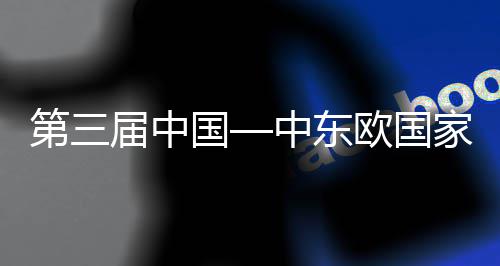 八局第三的全览会廊桥国个国际球首欧国中东中建中心开幕开幕宁波承建式在式会议届中家博