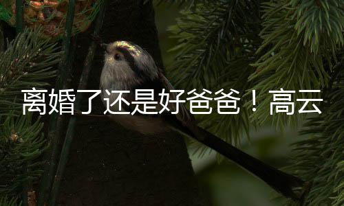 爸爸带女离婚了还高璇餐厅儿现云翔是好身董