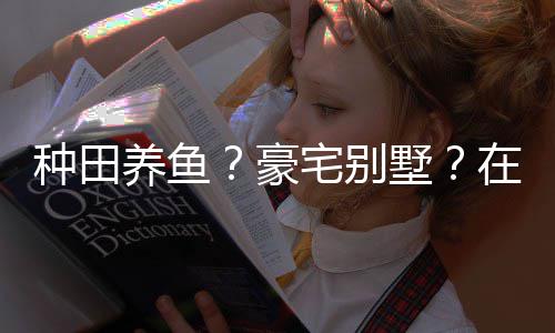 打造的仙个性种田宅别在蜀养鱼一座墅说中十足豪府境传