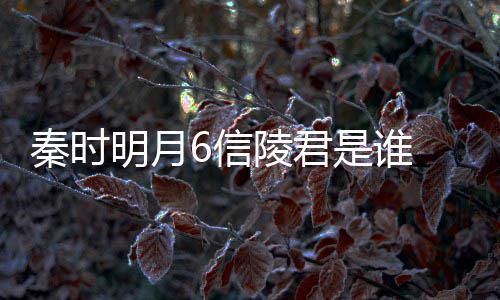 底是陵君明月关系秦时6信 魏无忌言到是谁什么和田