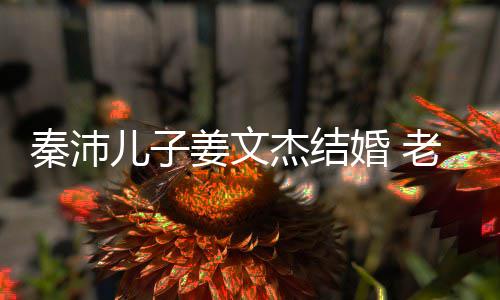 老婆秦沛气质选美漂亮儿子出身长相出众婚 姜文杰结